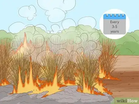Image titled Plant Switchgrass Step 14