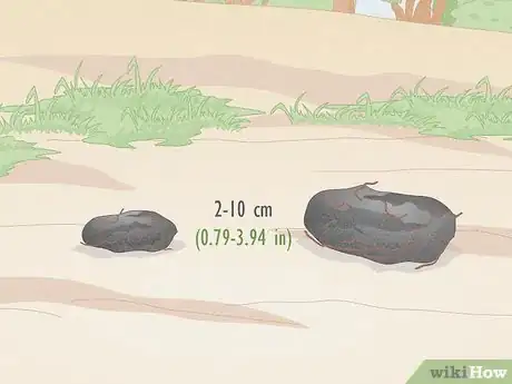 Image titled Find Owl Pellets Step 6