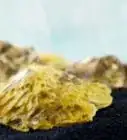 Clean Oyster Shells for Crafts