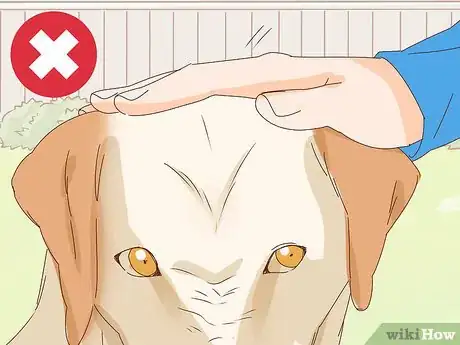 Image titled Pet a Dog Step 11