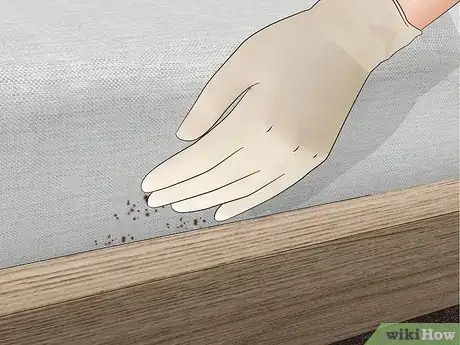 Image titled Identify Bed Bug Droppings Step 4