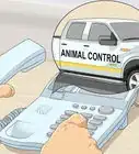 Identify Rabies in Humans