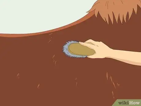 Image titled Teach a Horse to Come when Called Step 12