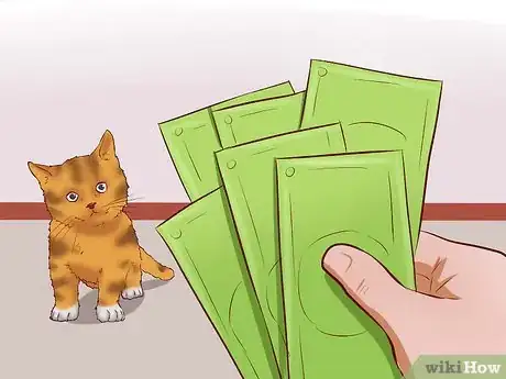 Image titled Get a Cat for a Pet Step 3