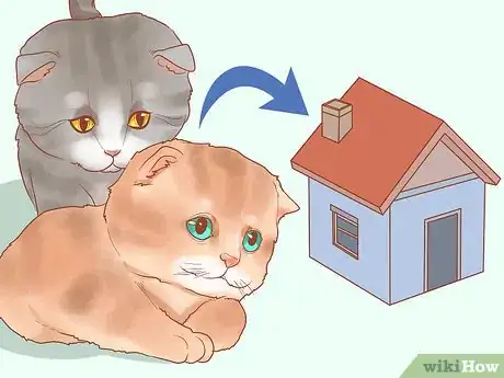 Image titled Foster Kittens Step 10