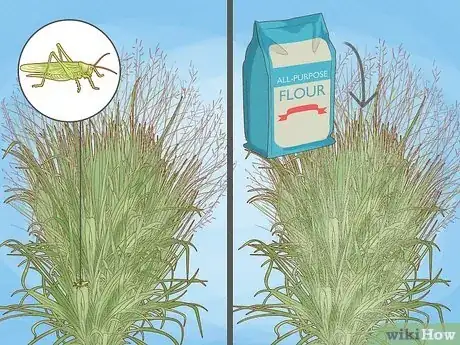 Image titled Plant Switchgrass Step 11