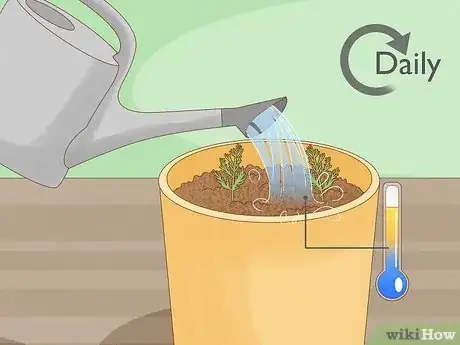 Image titled Grow Carrots in Pots Step 11