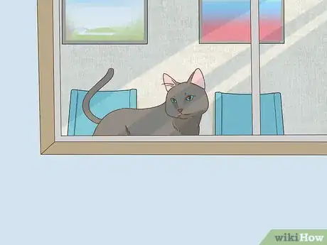 Image titled Help a Fallen Fledgling Step 10