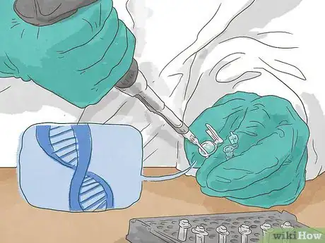 Image titled Get a Paternity Test When the Mother Refuses Step 3