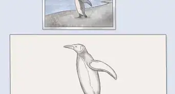 Draw