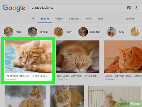 Image titled Search by Image Step 21