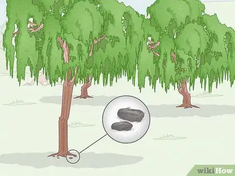 Image titled Find Owl Pellets Step 1
