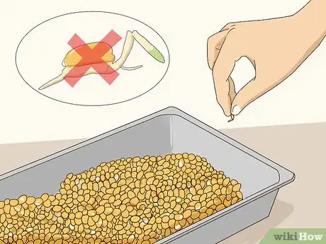 Image titled Malt Corn Step 20