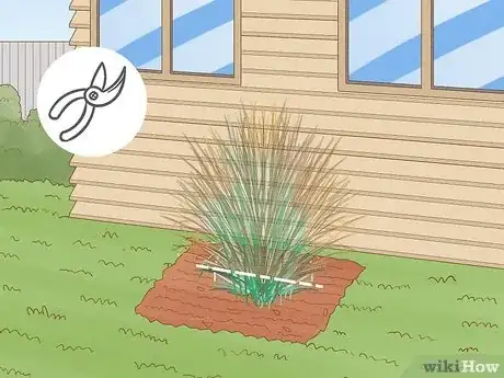 Image titled Plant Switchgrass Step 10