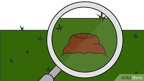 Image titled Get Rid of Moles in Your Garden Step 1