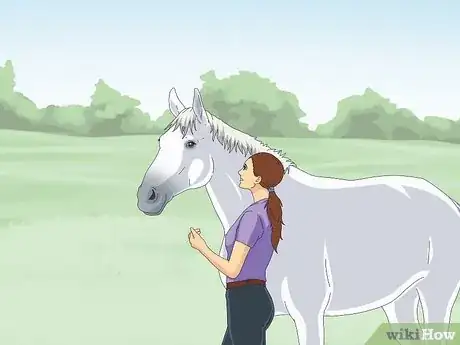 Image titled Teach a Horse to Come when Called Step 11