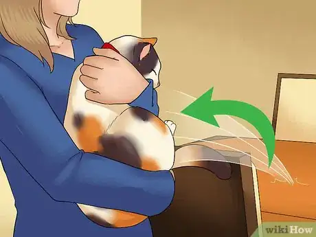 Image titled Eat Without a Cat Begging Step 10