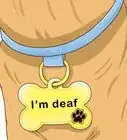 Use Hand Signals to Train a Dog that is Deaf