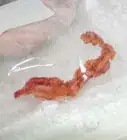 Tell if Bacon Is Bad