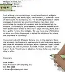Write a Business Letter