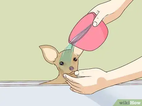 Image titled Wash a Chihuahua Step 6