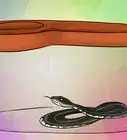 Catch a Garter Snake