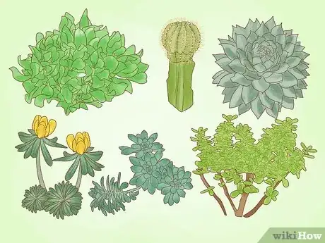 Image titled Plant a Teacup Garden Step 5