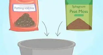 Prune Patio Tomatoes