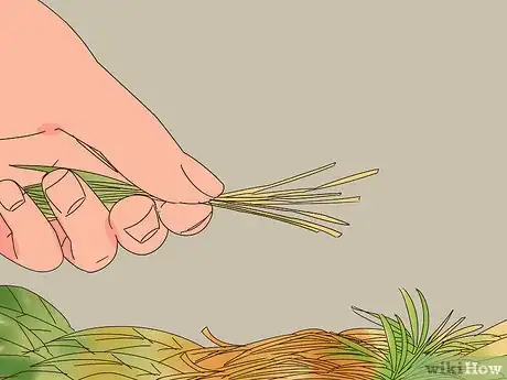 Image titled Help a Nesting Bird Step 3