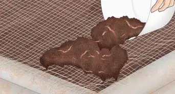 Make Vermicast