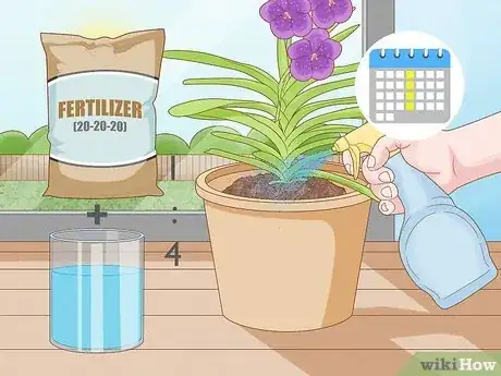 Image titled Grow Vanda Orchids Step 13