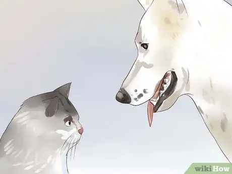 Image titled Introduce a New Cat to the Family Step 17