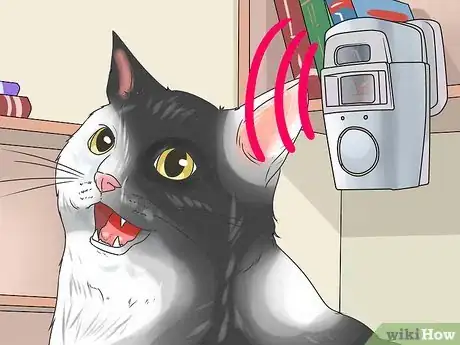 Image titled Prevent Cats from Pooping in the Garden Step 10