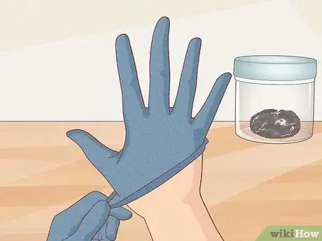 Image titled Find Owl Pellets Step 12