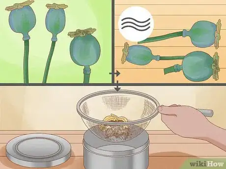 Image titled Grow Poppies Step 15