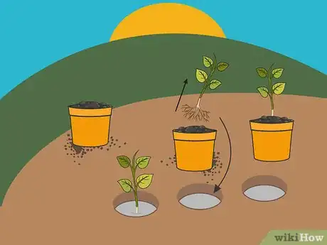 Image titled Grow Hot Peppers Step 10