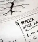 Create an Imaginary US State