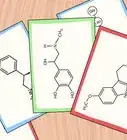Study the Functions of Protein Hormones in Humans