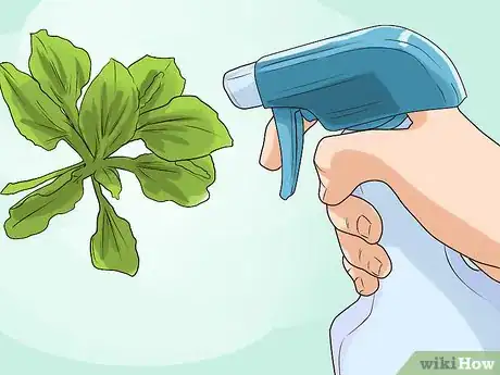 Image titled Kill Weeds With Vinegar Step 4