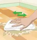 Clean Vomit from Wood Floors