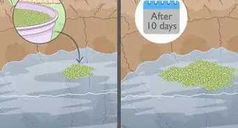 Grow Duckweed