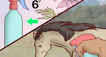 Feed a Horse a Mint