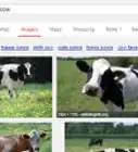 Look for Freely Licensed Images on Google