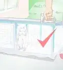 Keep Rabbit Bottles from Freezing