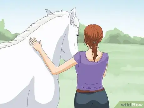 Image titled Teach a Horse to Come when Called Step 10