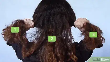 Image titled Create a Banana Bun Hairstyle Step 1