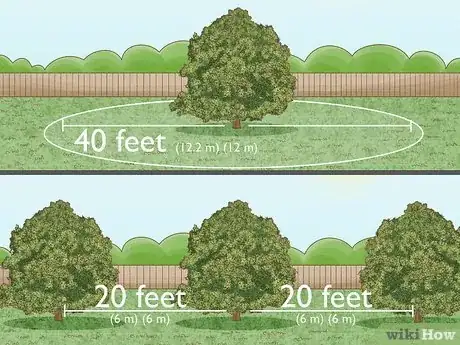 Image titled Grow Chestnut Trees Step 3