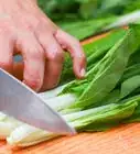 Stir Fry
