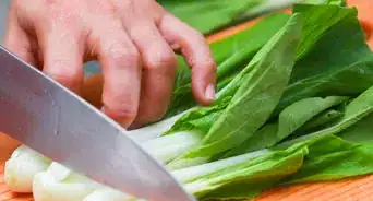 Stir Fry