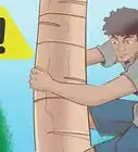 Climb a Tree With No Branches